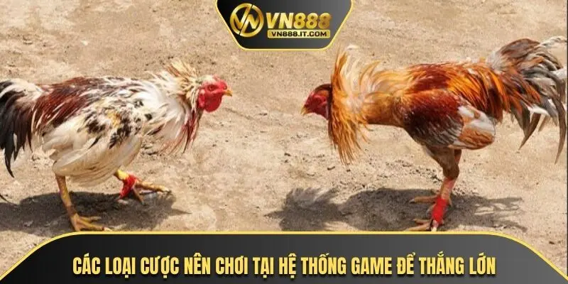 Các loại cược nên chơi tại hệ thống game để thắng lớn